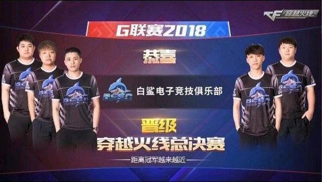 业内人士来 业内人士来