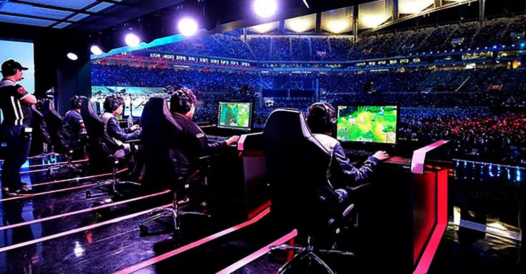 博格坎普 博格坎普